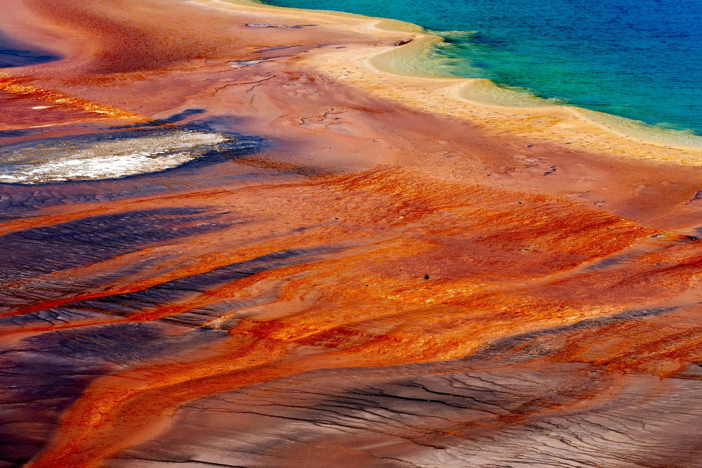 Yellowstone National Park, photo by Doctor Tinieblas